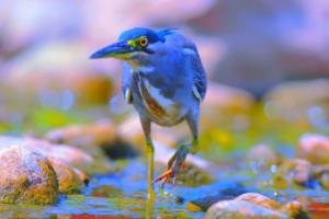 短道速滑世界杯下一站，期待下一波精彩纷呈的赛事短道速滑世界杯下一站